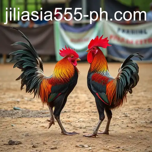 VIP Service jiliasia 555 - 24/7 Support and Exclusive Benefits